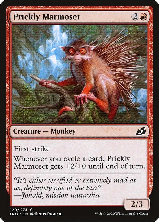 Prickly Marmoset (129) (IKO)